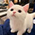 佚名