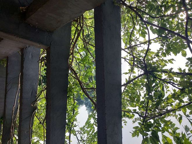 新消费板块火热 机构对估值现分歧