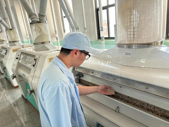 实探一粒麦从南郊沃土到古船面包房的“粮”途