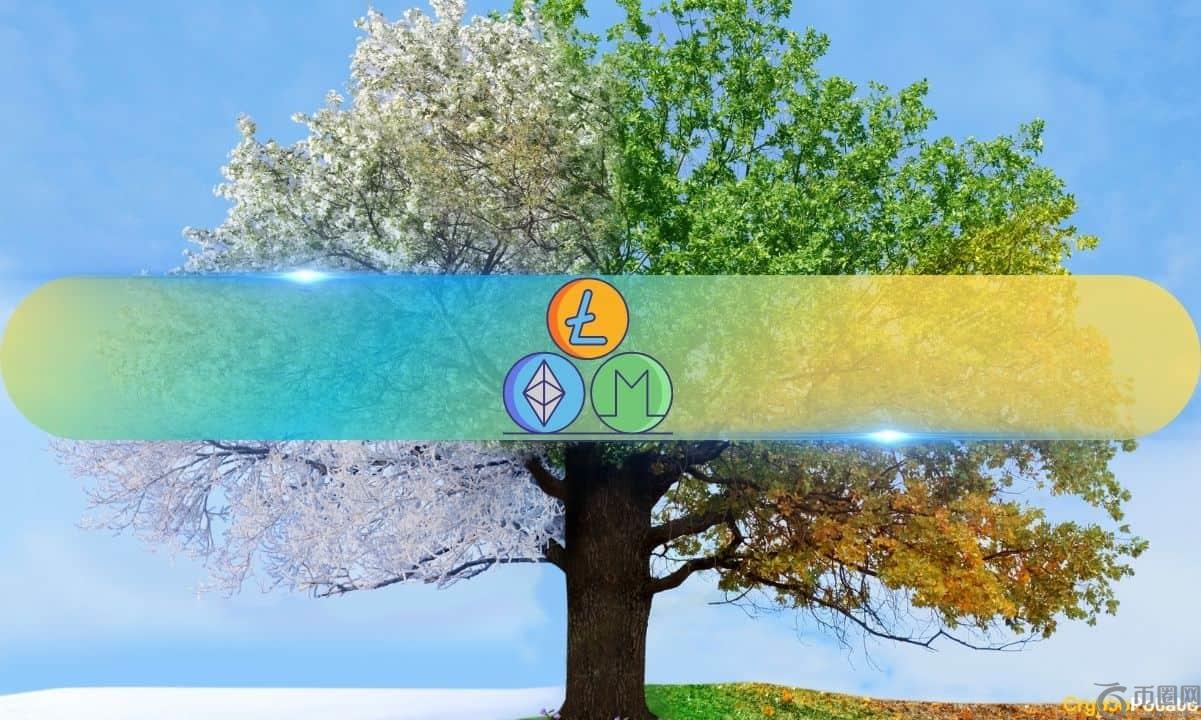 山寨币还有希望吗？分析师预测本轮牛市将迎来史诗级结局