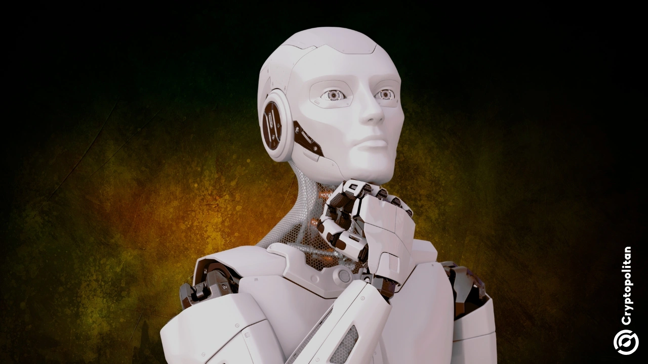 IBM 收购数据初创公司 Seek AI 并宣布新的纽约加速器