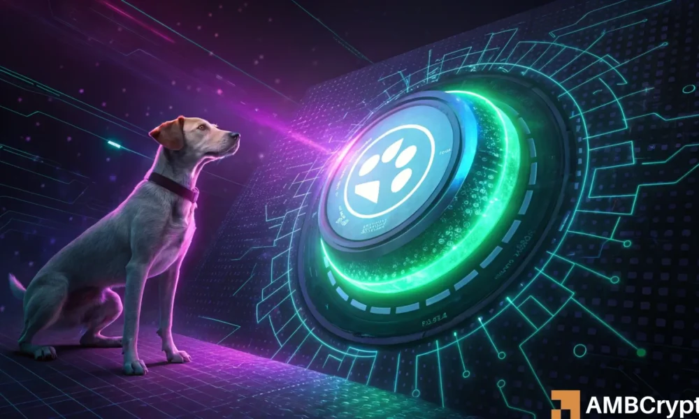 dogwifhat：如何从 WIF 下跌 24% 中获利