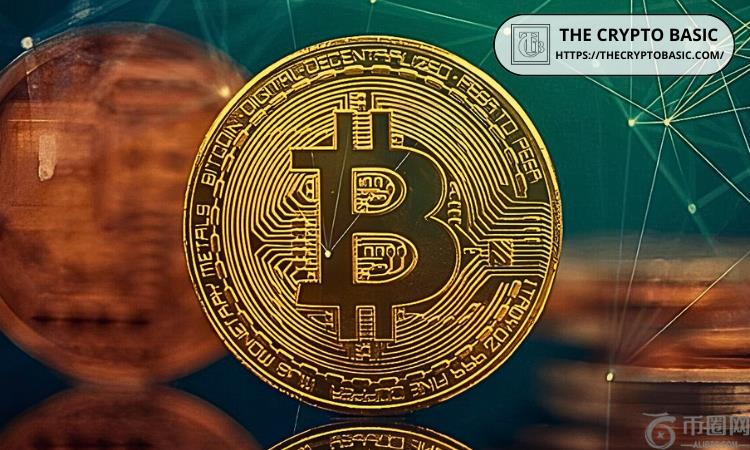 比特币网络增长在价格停滞的情况下却大幅增长的原因