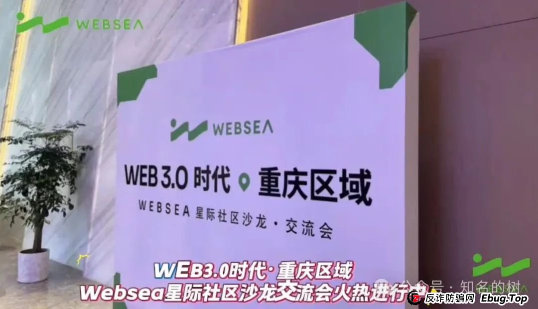 别再被蒙在鼓里!Websea资金盘真相全揭秘!