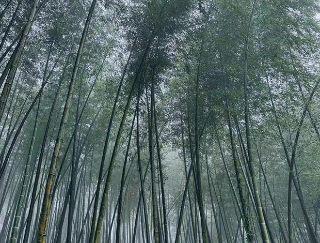 美国跌倒，中国欧洲吃饱？