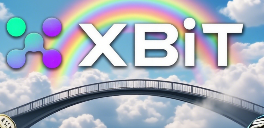 BSC淘金指南：XBIT如何助你穿越“中心化”迷雾，发现链上真Alpha？