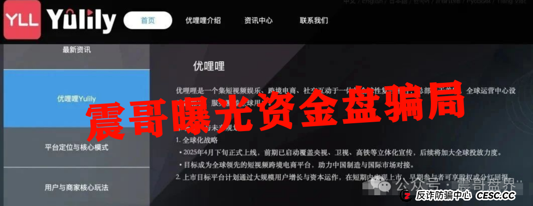 优哩哩暴富秘籍：震哥带你揭秘短视频跨境捞金术