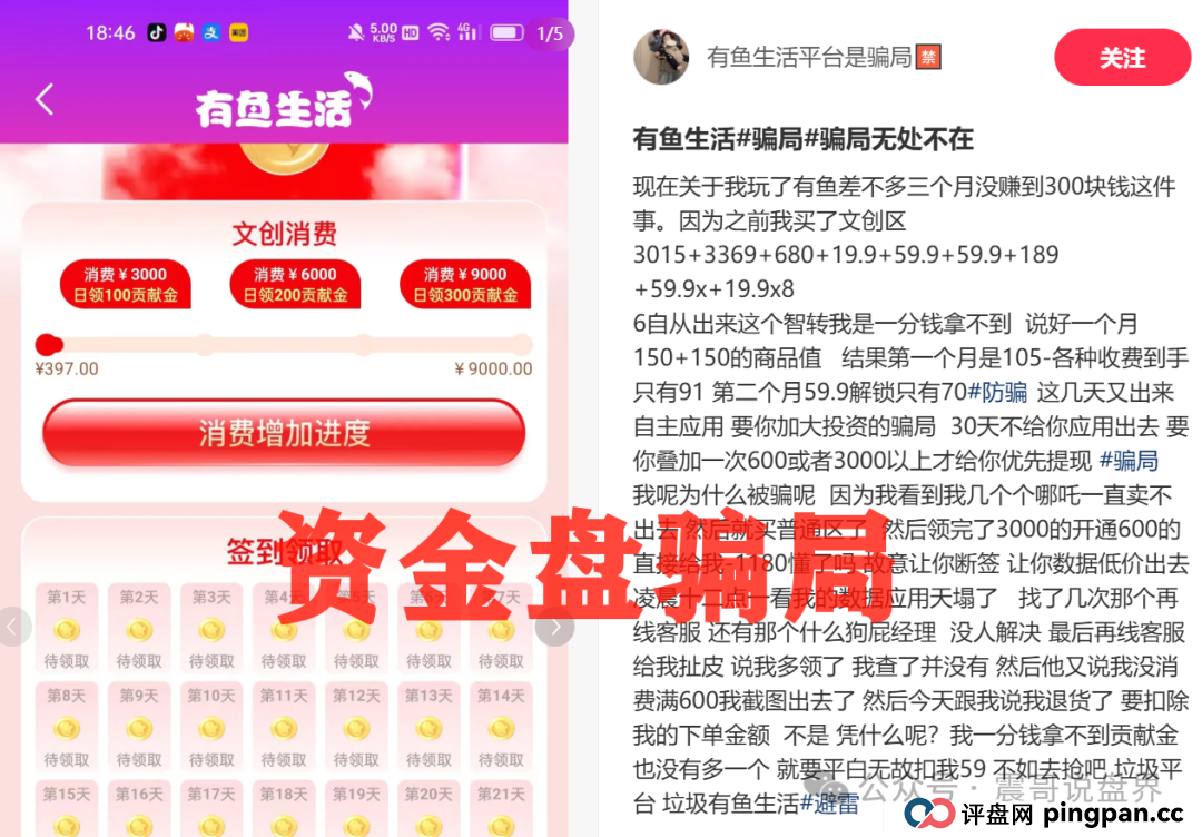 震哥独家起底：有鱼生活“消费全返”背后的资金盘陷阱！