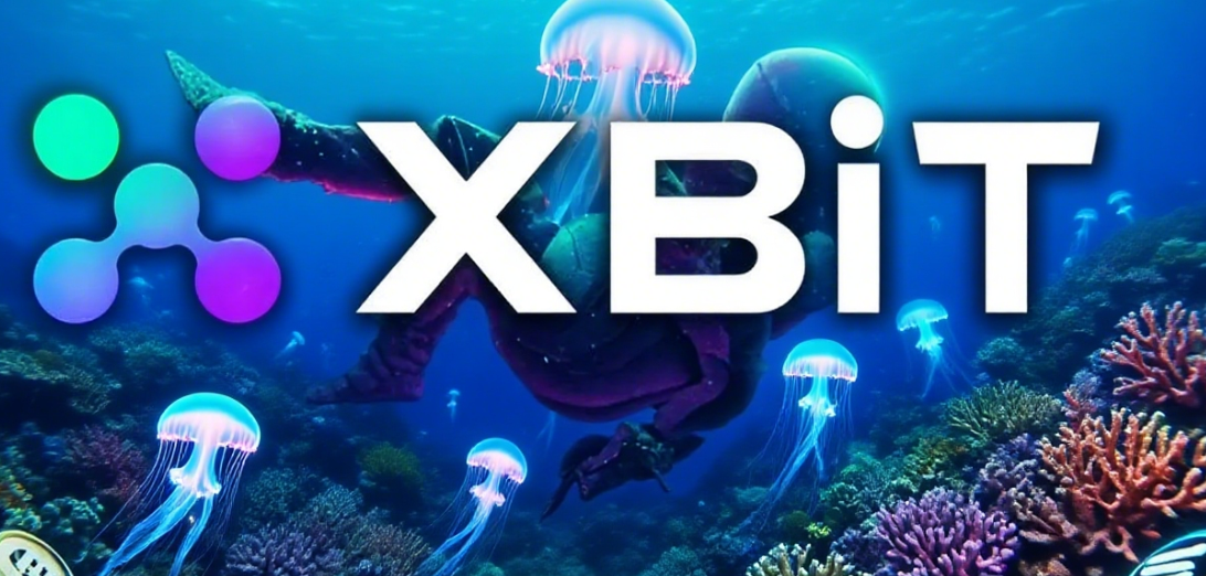 虚拟货币资产：XBIT 如何用智能与多链，赋能您的数字财富管理？