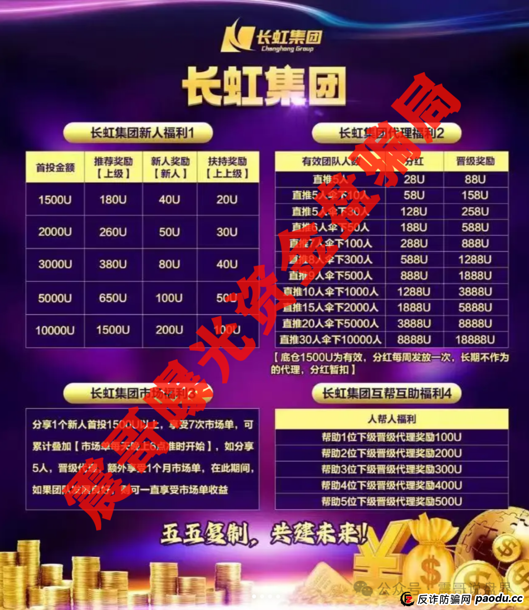 【长虹骗局2.0】震哥带你扒皮＂假国企＂资金盘，钱包要捂紧！