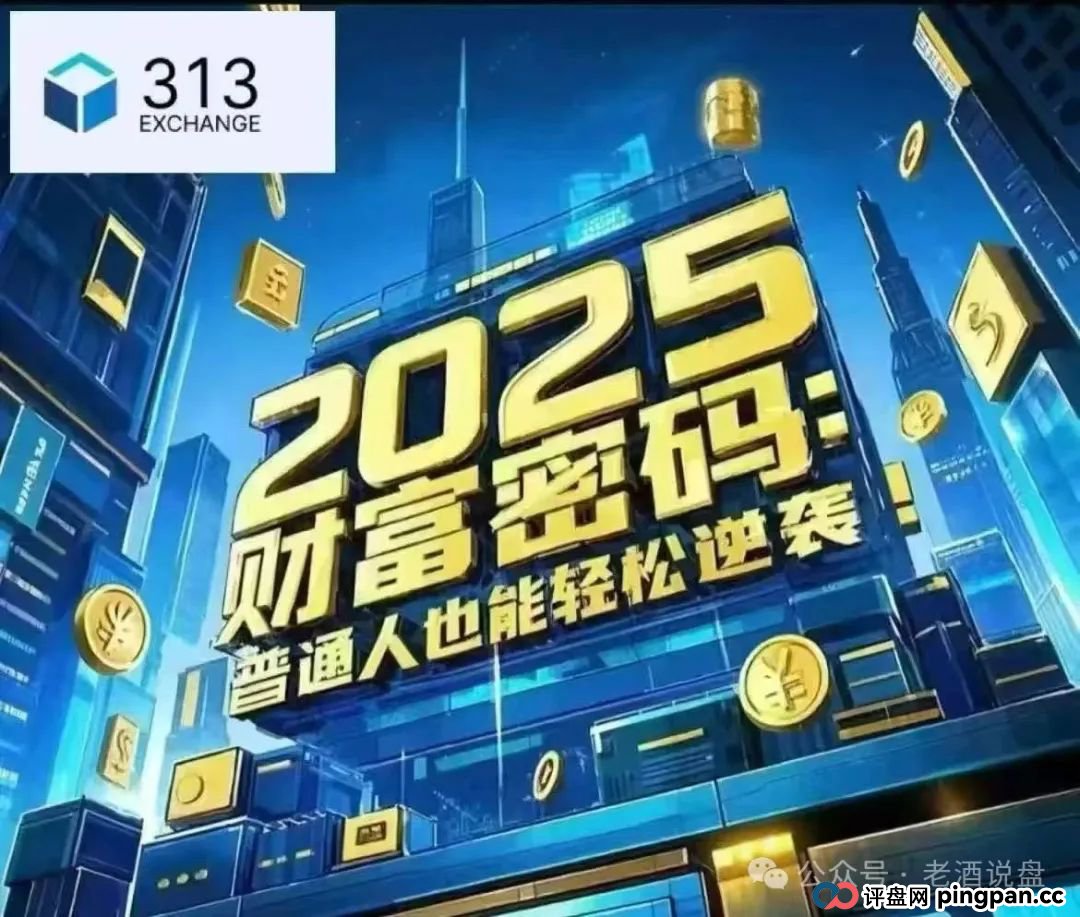 生死时速！“313 交易所”跟单骗局病入膏肓，崩盘倒计时已拉响！！！