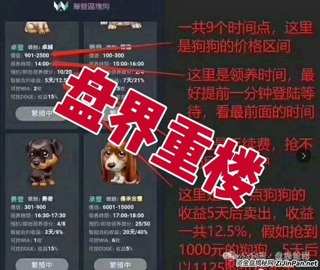 巢音世代抢单类资金盘骗局，操盘手圈钱过亿，即将崩盘跑路！