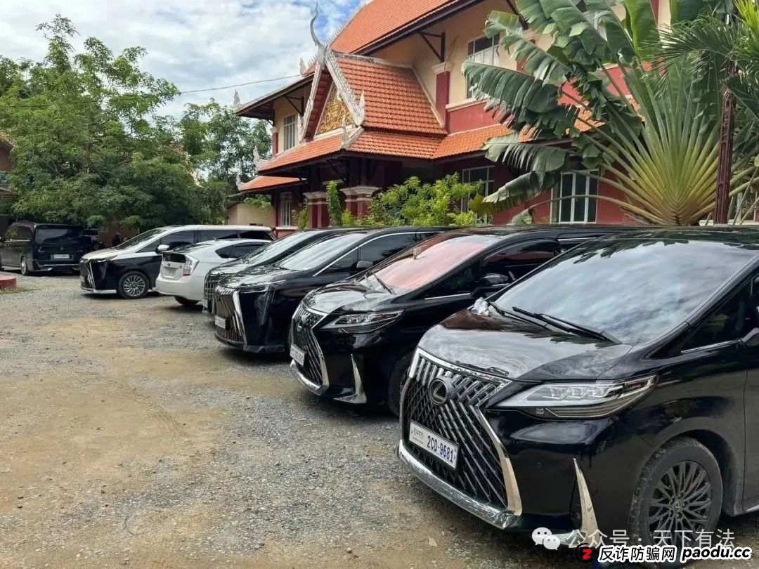 场面震撼！柬埔寨电诈园区上演集体大逃亡！