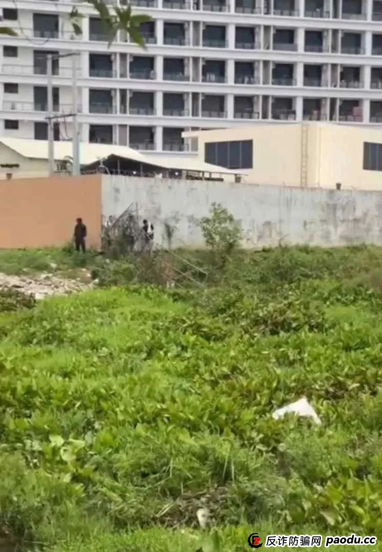 场面震撼！柬埔寨电诈园区上演集体大逃亡！