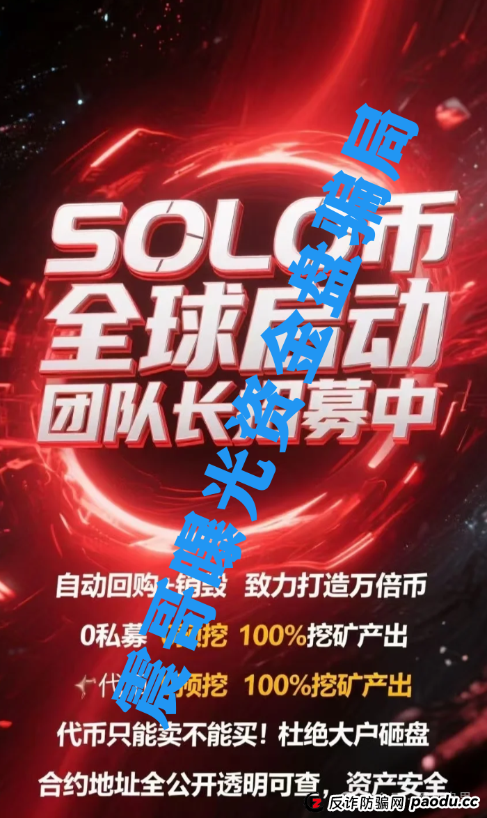 扒皮【SOLO】：这破项目连代币都搜不到，你还敢往里冲？