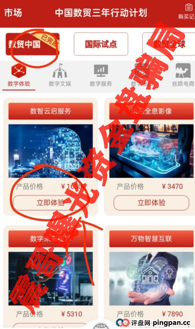 中国数贸资金盘大起底：震哥带你扒开“全球卡”骗局