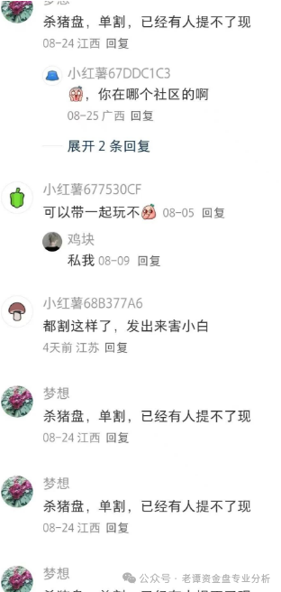 关于“睿盛环球"项目的情况我必须提醒大家警惕这个高风险资金盘。该项目前身曾用名"博瑞通""晟盛环球"频繁更名是典型资金盘特征。 关于“睿盛环球"项目的情况我必须提醒大家警惕这个高风险资金盘。该项目前身曾用名"博瑞通""晟盛环球"频繁更名是典型资金盘特征。