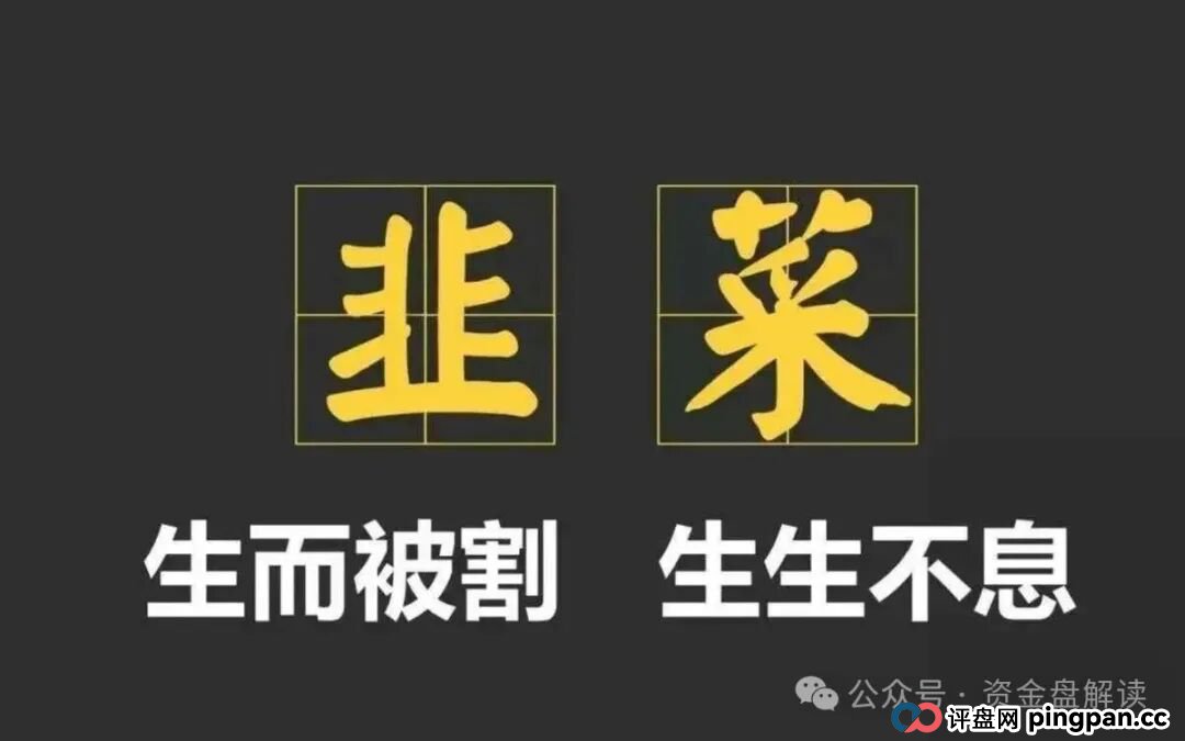 “港股加密储备”神话一夜崩塌！CoinUp交易所的“华丽外衣”与“吸血本质”让投资者该何去何从…