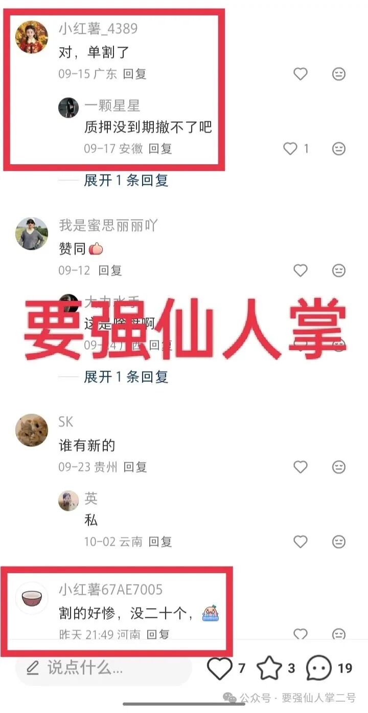 紧急曝光：“睿盛环球Golden Link”连环骗局始末，政府三级预警下的收割狂欢！