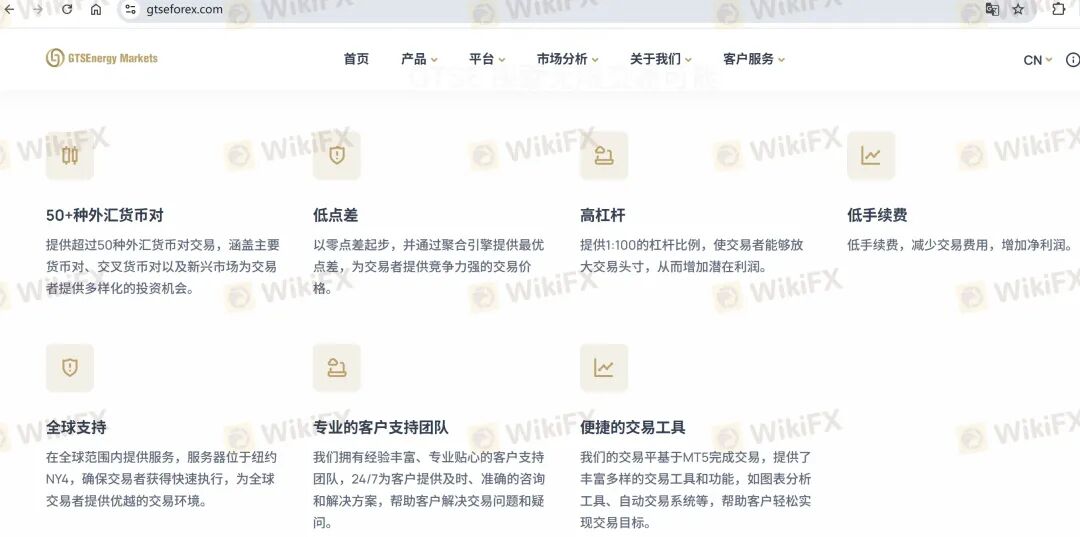 高能预警| 真金白银入金秒变“代金券” GTSEnergy Markets老板正在挥霍你的血汗