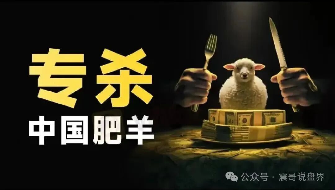 CodexField资金盘骗局，操盘团队之前干洗钱的，看见远离