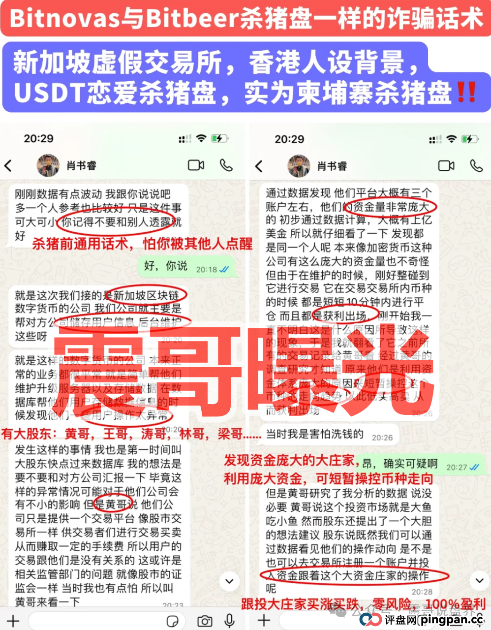 Bitnovas资金盘骗局,纯纯的恋爱杀猪盘,看见一定要远离 Bitnovas资金盘骗局,纯纯的恋爱杀猪盘,看见一定要远离