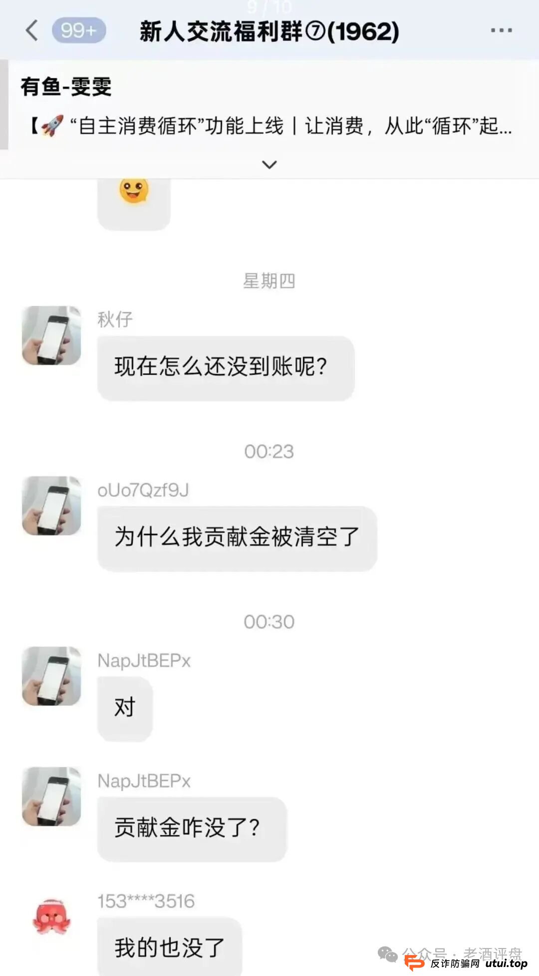 揭开“有鱼生活”资金盘画皮：你的贡献金，正是别人的“鱼饵”