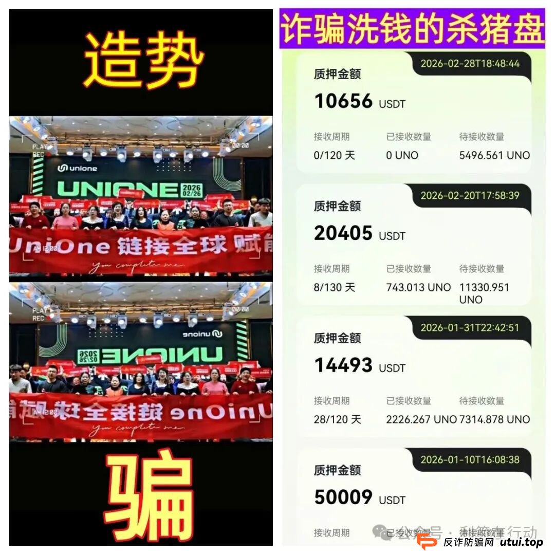 血泪教训：如果已经投了UniOne，现在应该怎么办？（附实用维权指南）