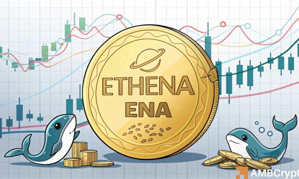 Ethena 将进行 6% 的修正 – 鲸鱼为何持续购买？(1)