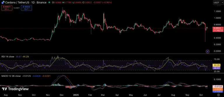 XRP 和 Cardano 从低点反弹——分析师预计年底前上涨 60%(6)