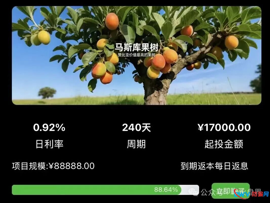 “华洋绿投”骗局全解析:日息近1%、保本返利?实为包装精美的金字塔式传销诈骗(3) “华洋绿投”骗局全解析:日息近1%、保本返利?实为包装精美的金字塔式传销诈骗(3)