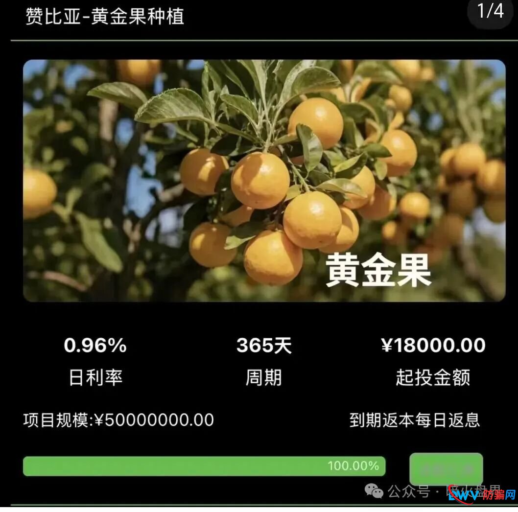 “华洋绿投”骗局全解析:日息近1%、保本返利?实为包装精美的金字塔式传销诈骗(4) “华洋绿投”骗局全解析:日息近1%、保本返利?实为包装精美的金字塔式传销诈骗(4)