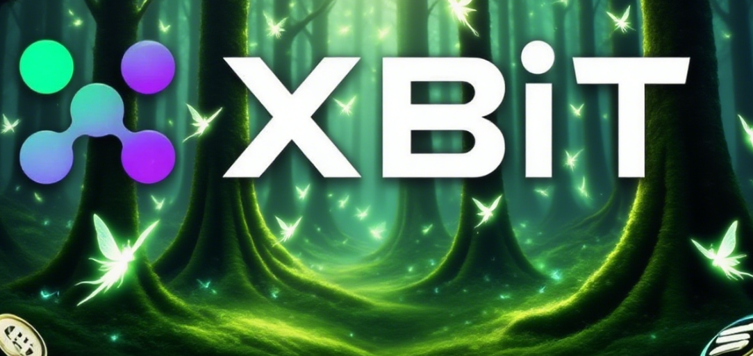去中心化交易：XBIT 如何革新您的数字资产自主权与效率？(3)
