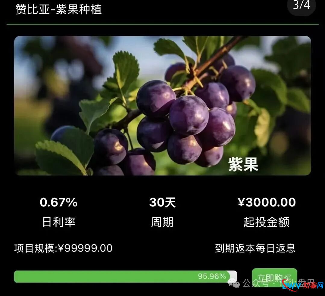 “华洋绿投”骗局全解析:日息近1%、保本返利?实为包装精美的金字塔式传销诈骗(2) “华洋绿投”骗局全解析:日息近1%、保本返利?实为包装精美的金字塔式传销诈骗(2)