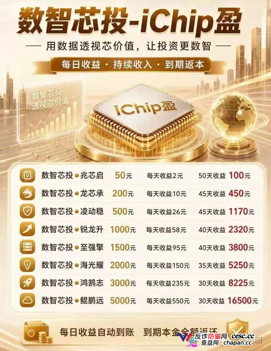 投5000日赚550，年化超4000%｜数智芯投的“芯片投资”，买的不是芯片，是下一批