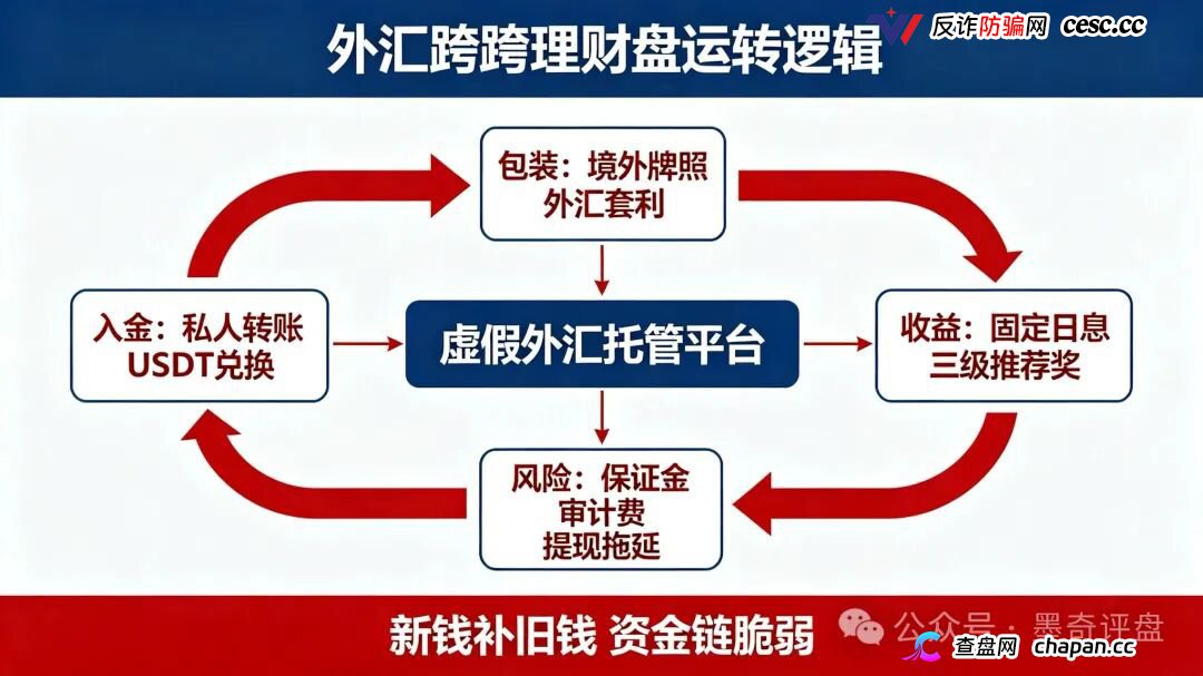 紧急预警！7月10个新开资金盘全曝光，千万别投！(2)