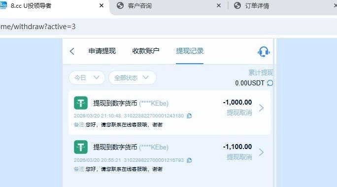 全网最强杀猪盘 8.cc,打了一下PG电子和WG电子,结果出款1100U的时候客服说套利退本金(4) 全网最强杀猪盘 8.cc,打了一下PG电子和WG电子,结果出款1100U的时候客服说套利退本金(4)
