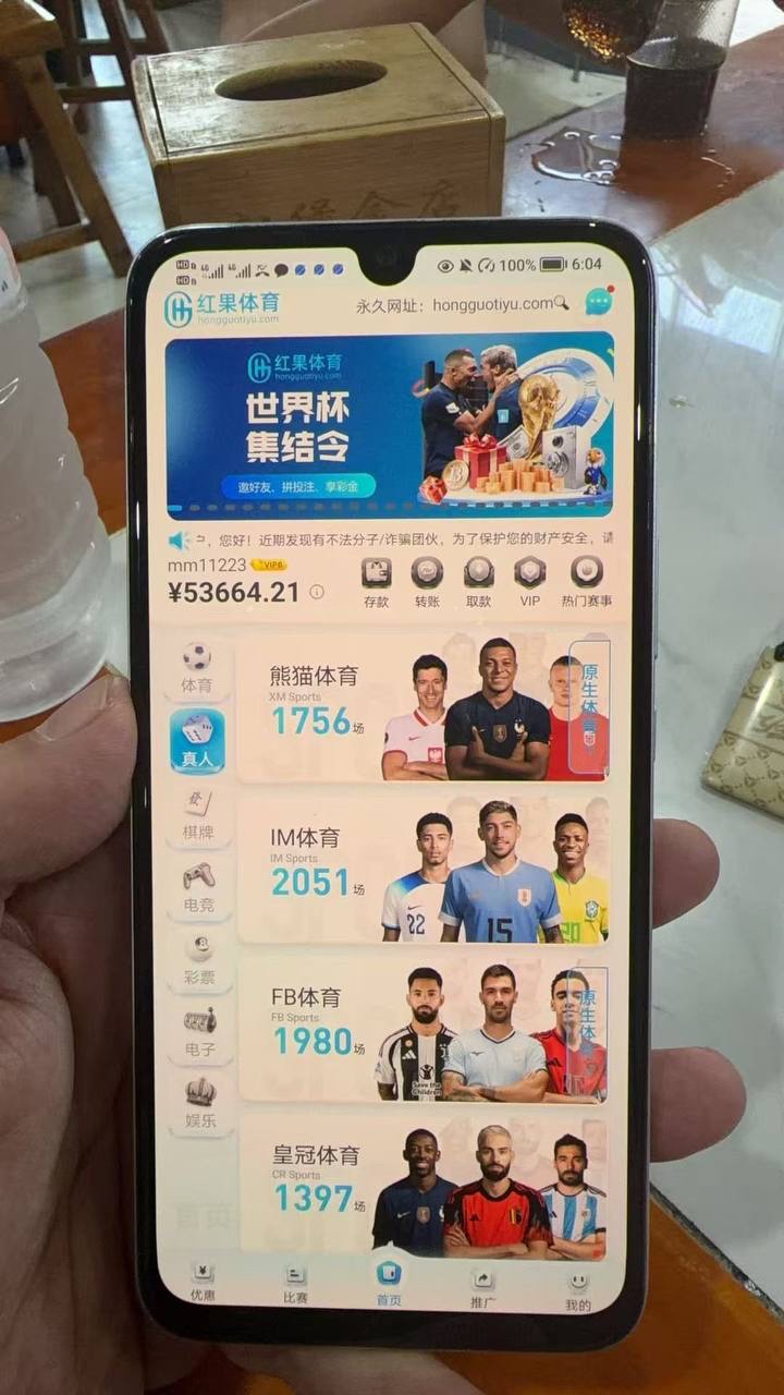 红果体育你们的风控是傻子吗，要不要你们去查档看看我这是不是虚假KYC(1)